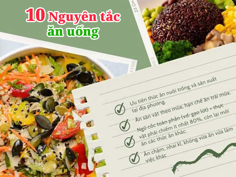 Chìa Khóa Sống Khỏe: 10 Nguyên Tắc Dinh Dưỡng Cơ Bản