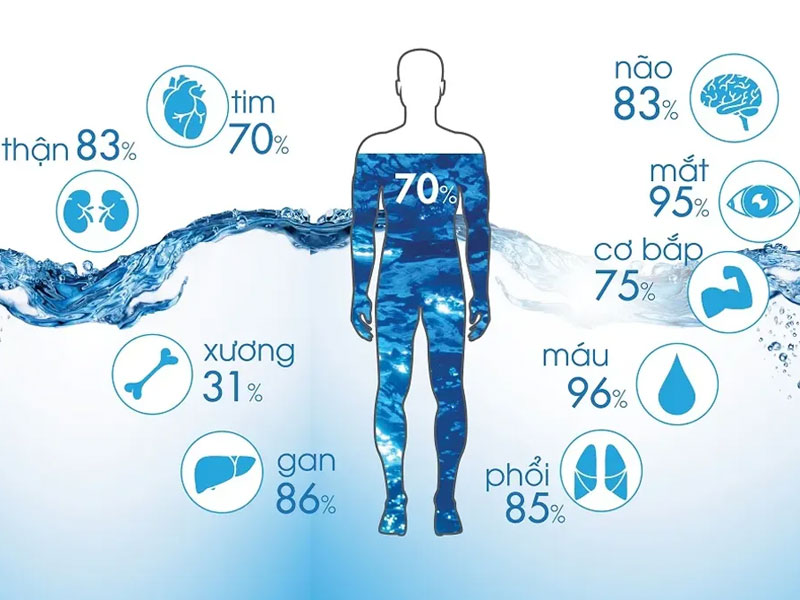 05 Lợi Ích Sức Khỏe Hàng Đầu Mà Cơ Thể Bạn Đang Cầu Xin Mỗi Ngày